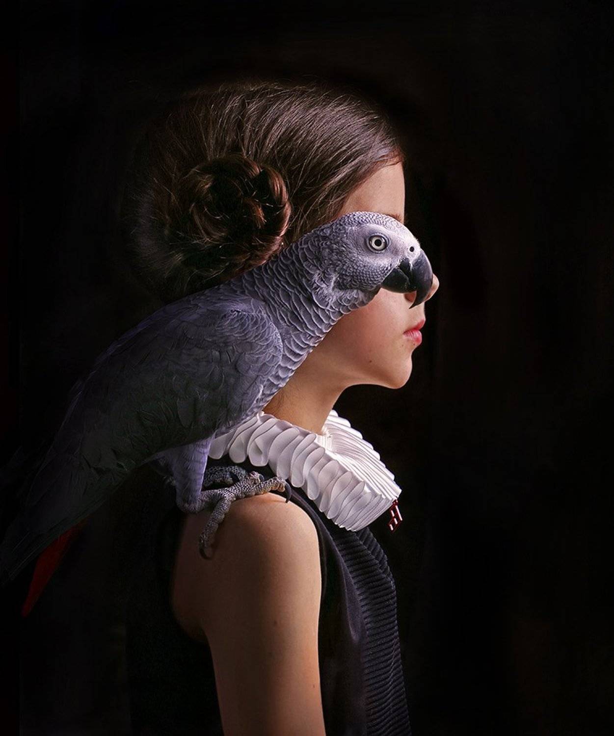 girl portrait parrot bird , Alexander Sviridov