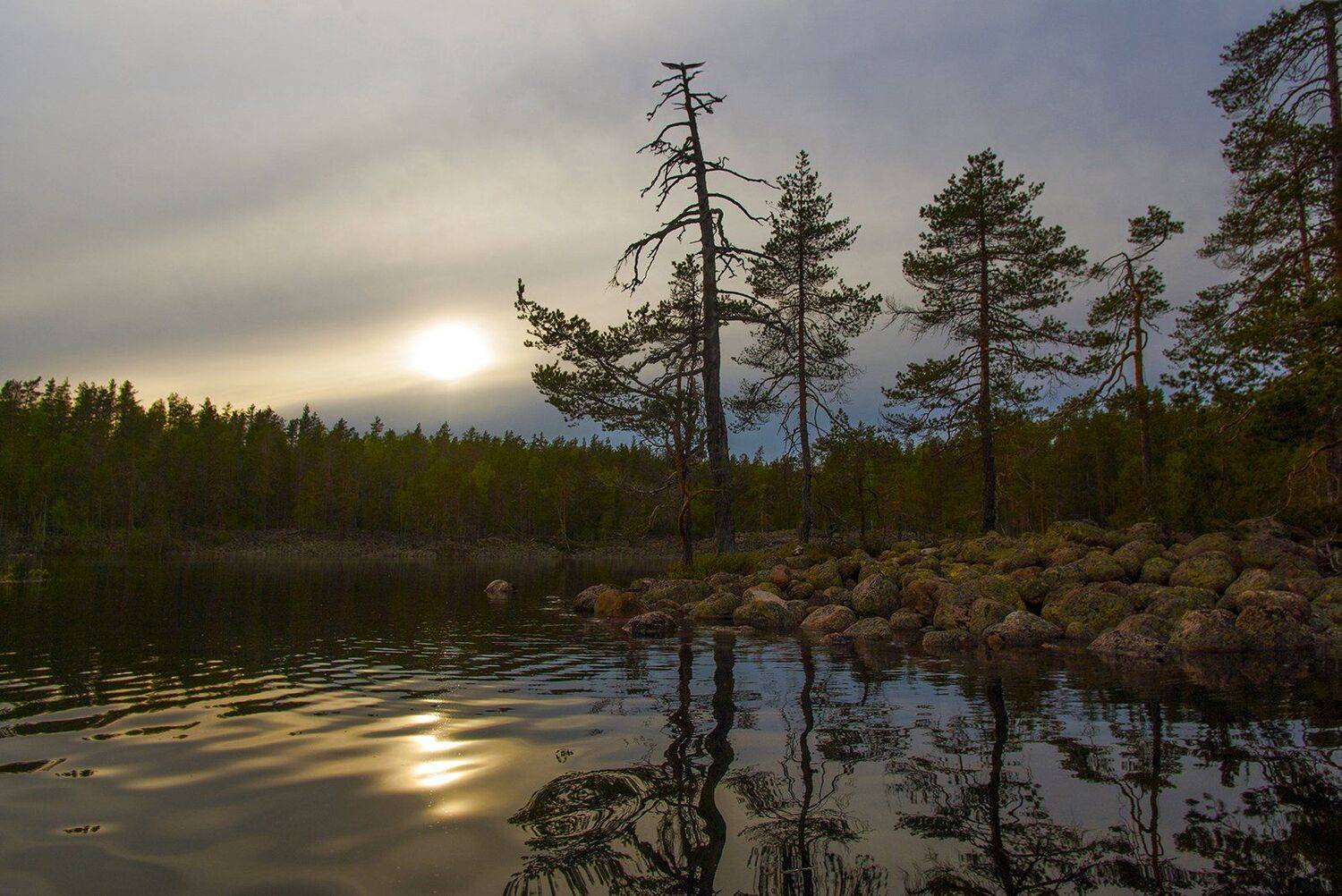 карелия, Виктор