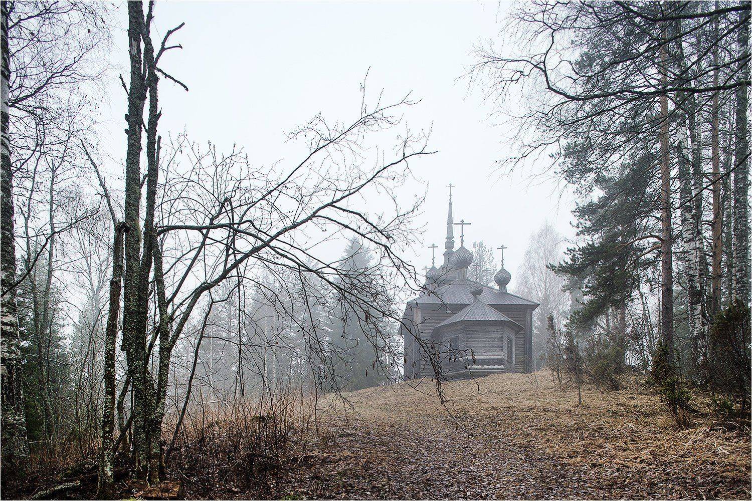 весна, май, лес, гора, хижгора, деревянный храм, кенозёрский парк,, Victor Pechenev