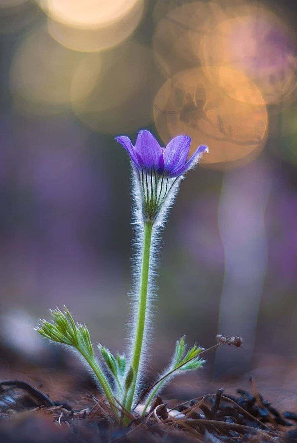 , Сергей Брагин