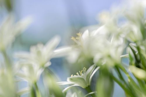 Лето пришло...