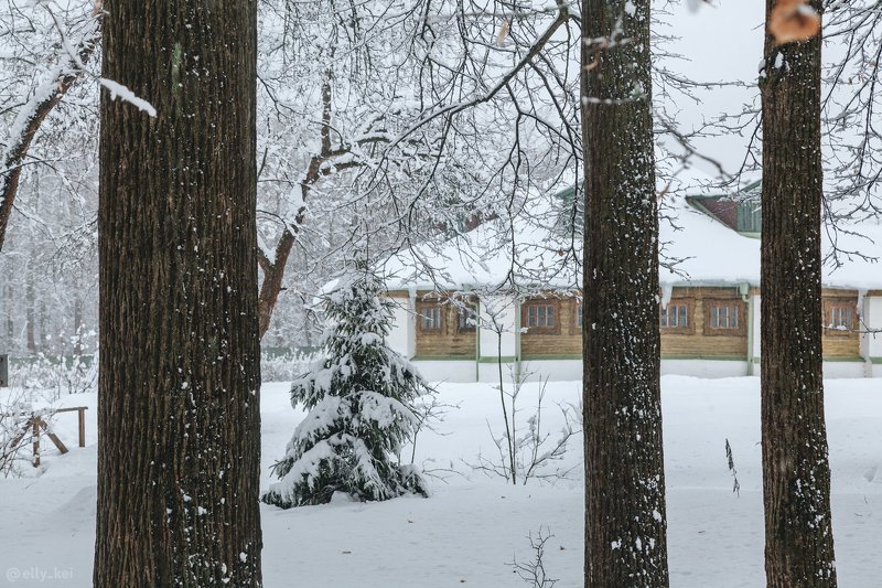 Середниково Зима в Середниково фото превью