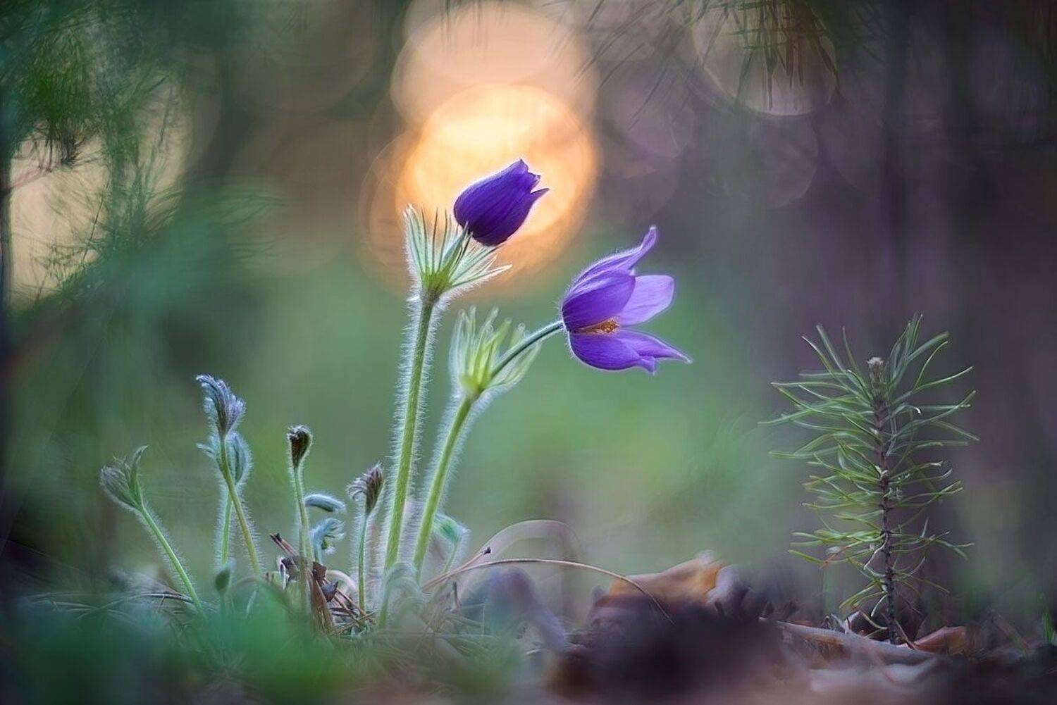 , Сергей Брагин