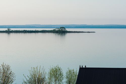 Три голубя на крыше
