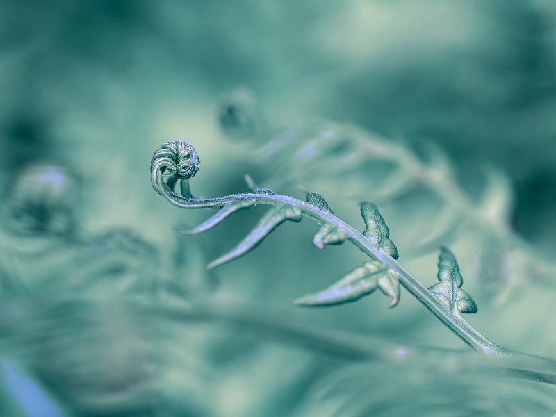 Инопланетяне фото превью