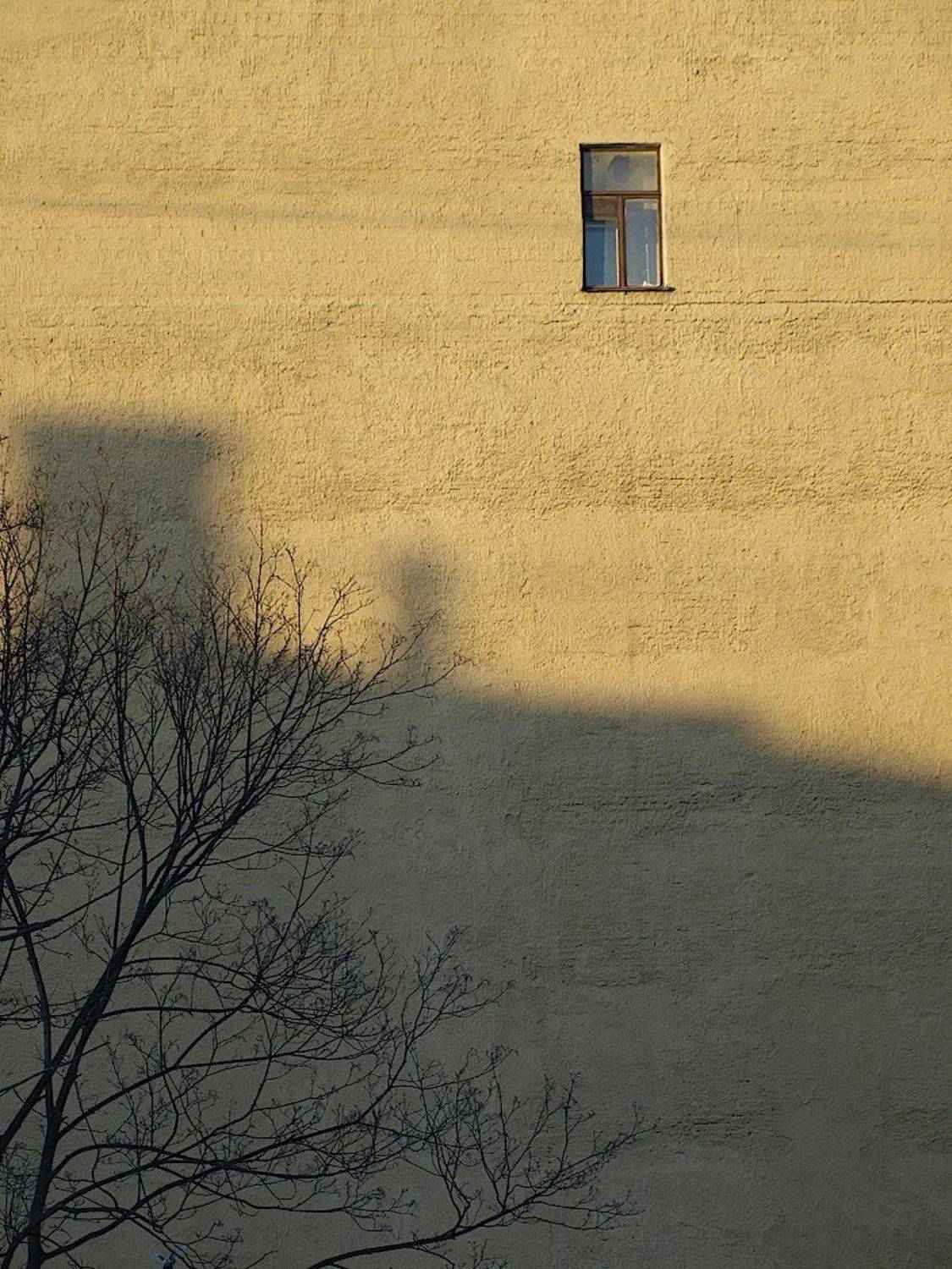 , Александр Зорин