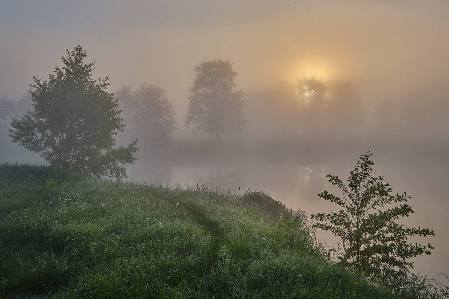 , Григорий Бельцев