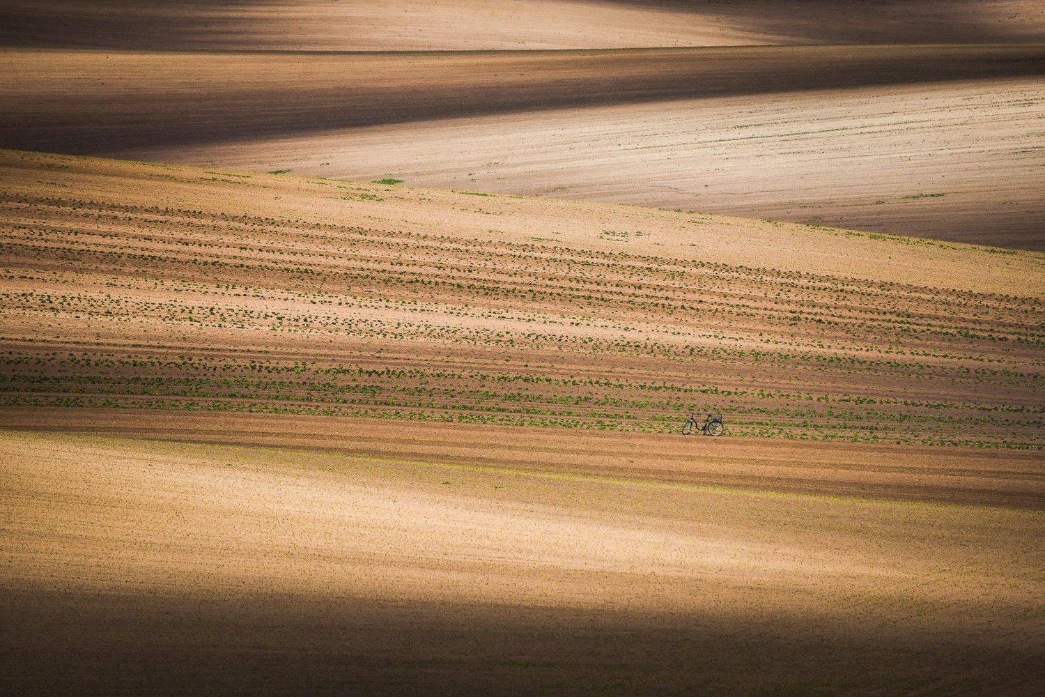 south moravia, czech, fields, spring, bike, Калин Панчев