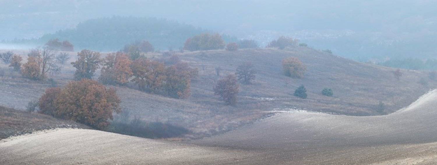 , Андрей Гусаченко