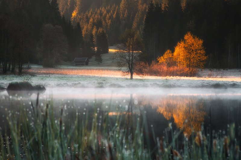 landscape,lake,bavaria,morning,sunrise,germany,nature Geroldsee фото превью