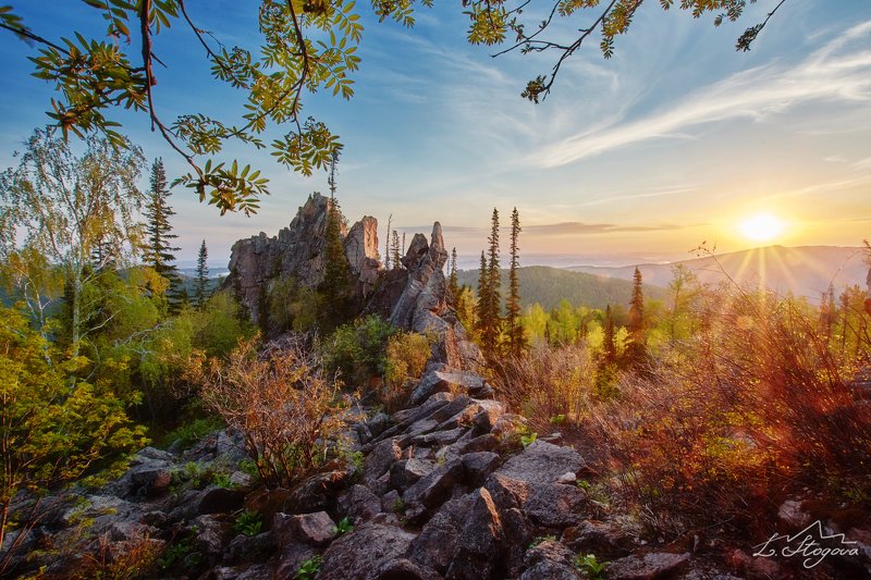 столбы, рассвет Первые листочки фото превью
