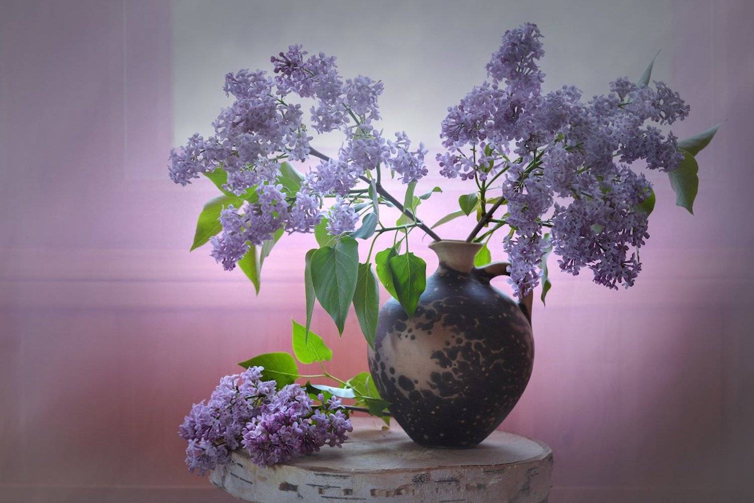 , Марина Никифорова