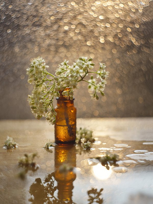rowanberry фото превью