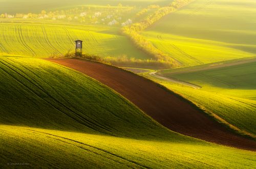 Лайм и шоколад...