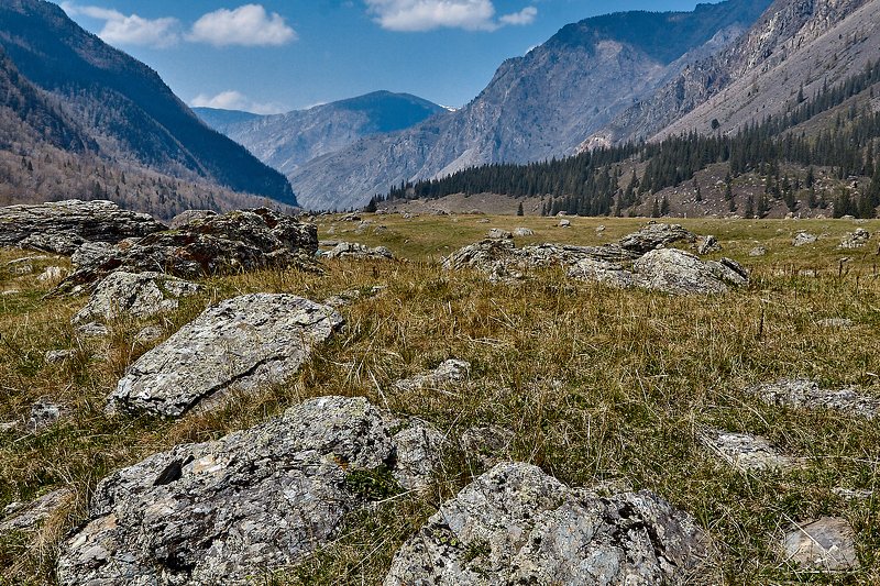 алтай, ледник актру, актру, алтайский край, долина, весна,осень, лиственницы, ледник,ледники Долина ползущих камней!!! фото превью