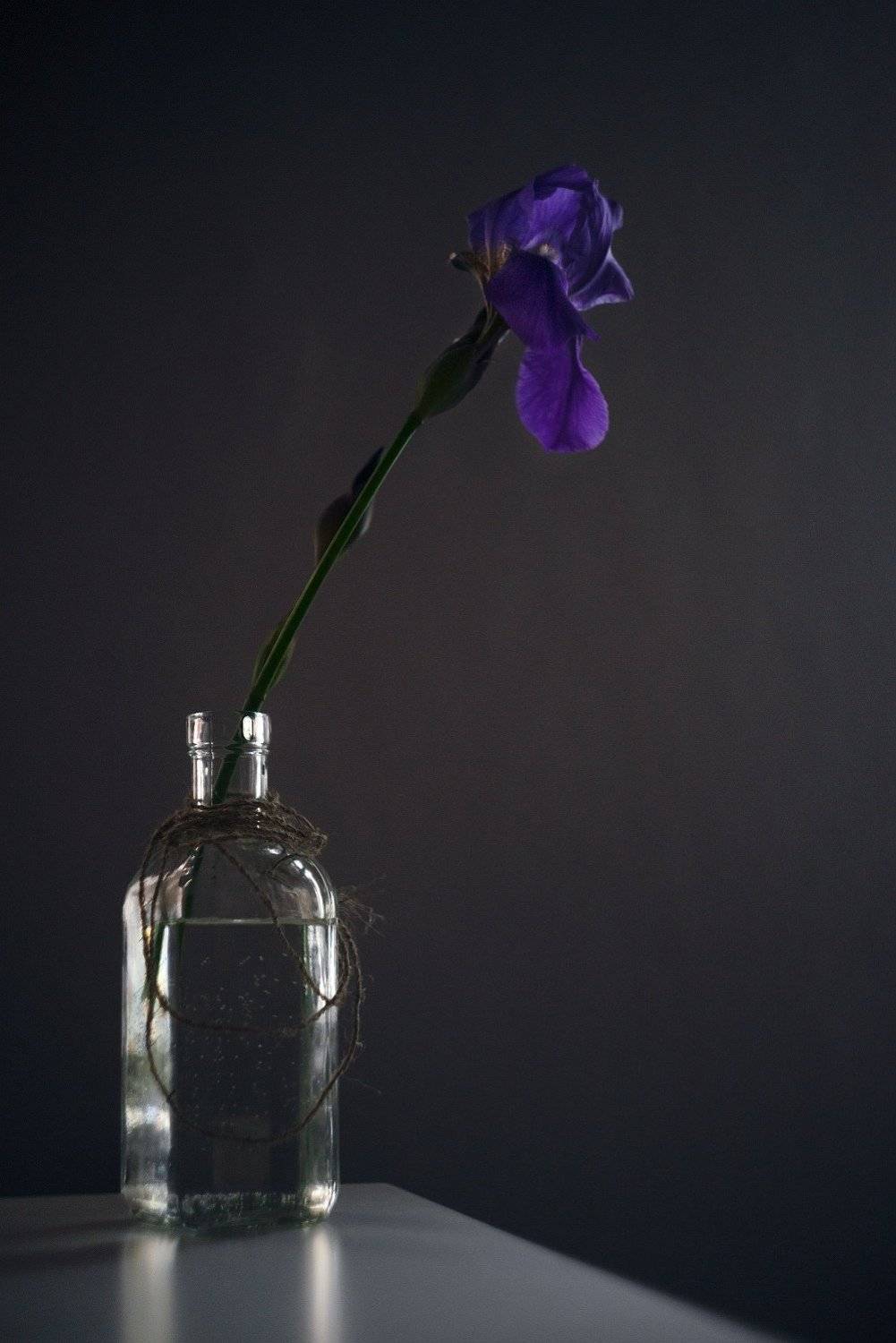 , Алёна Таланова