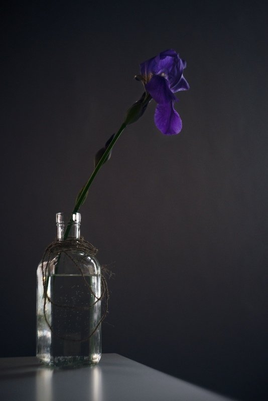 Ирис фото превью