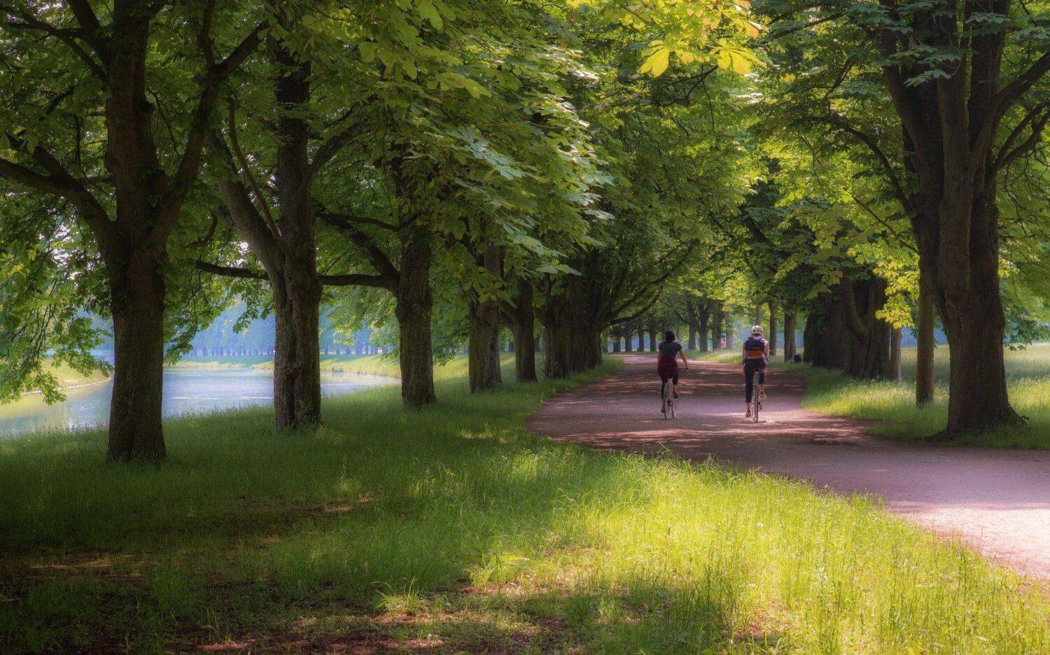парк, дорожка, аллея, прогулка, пара, велосипед, Виктор Климкин