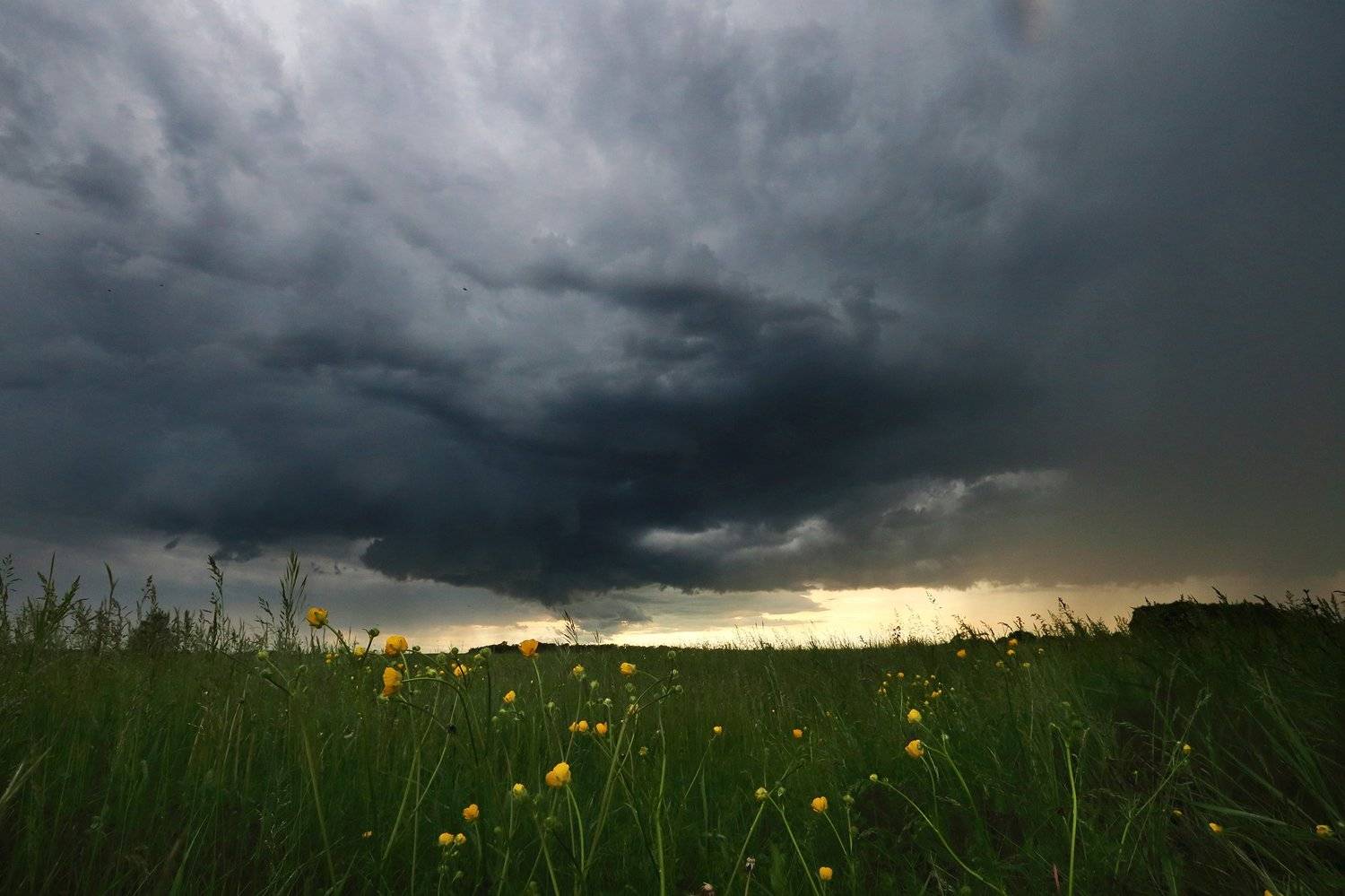 , Иван Карчев