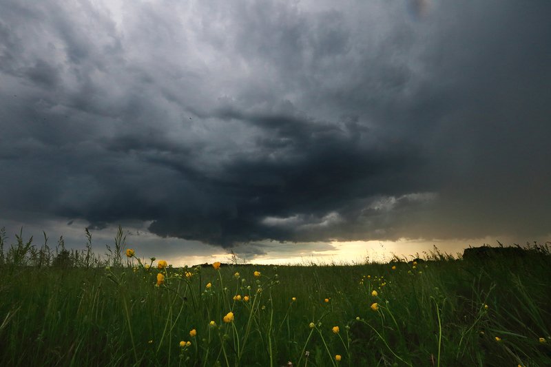 before the storm фото превью