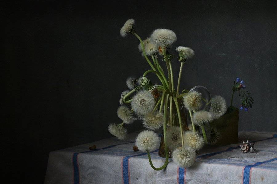 натюрморт, лето, июнь, цветы, одуванчики, букет, Курочкина Диана