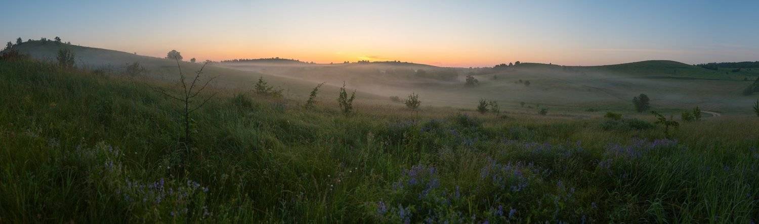 пейзаж, утро, туман, рассвет, июнь, лето, лесостепь, холмы, Валентин Гайдай
