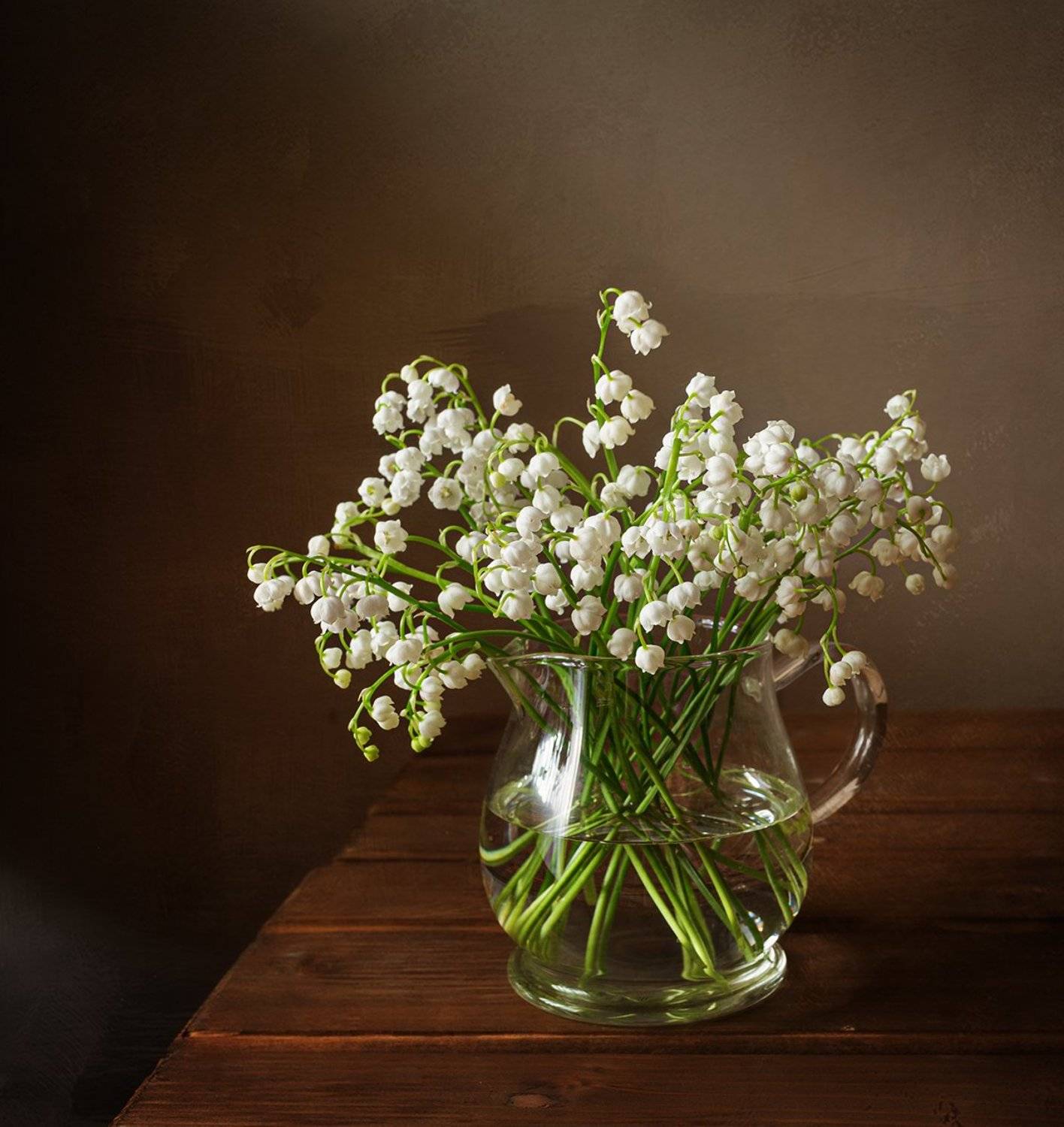 , Печерина Елена