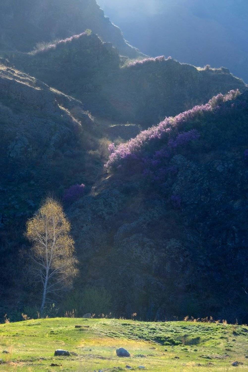 , Ольга Челдыкова