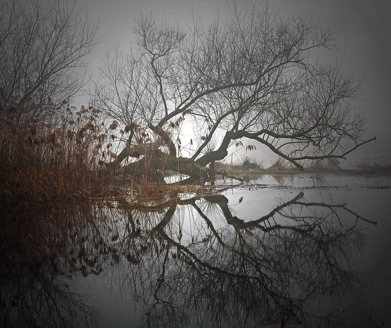 ...  фото превью