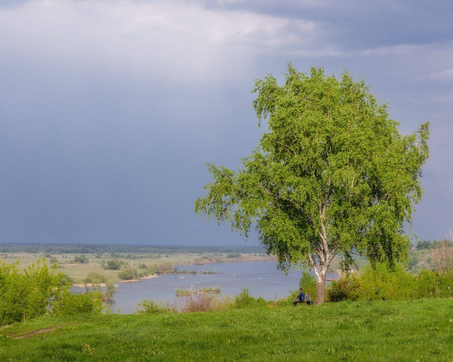 природа, пейзаж, константиново, Мартыненко Дмитрий