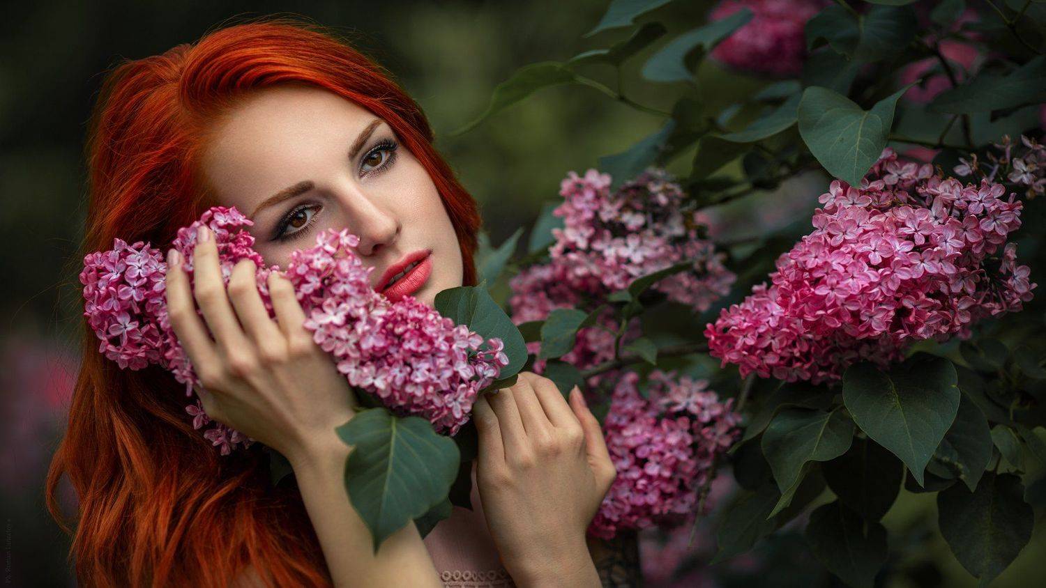 , Ланцетов Роман