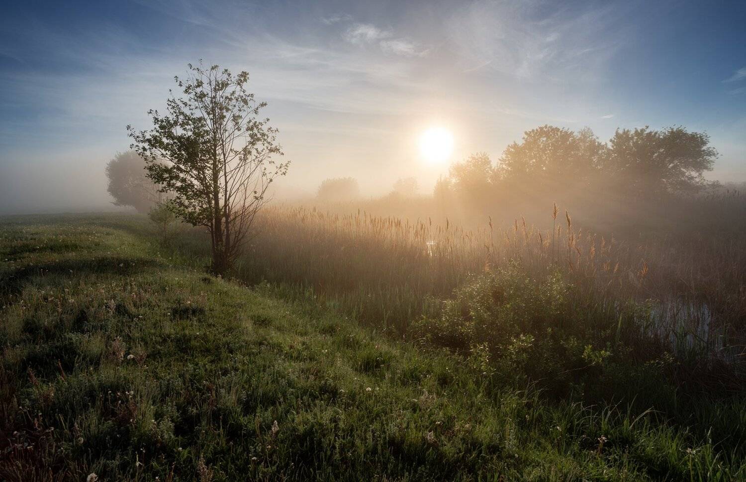 , Александр Бредихин