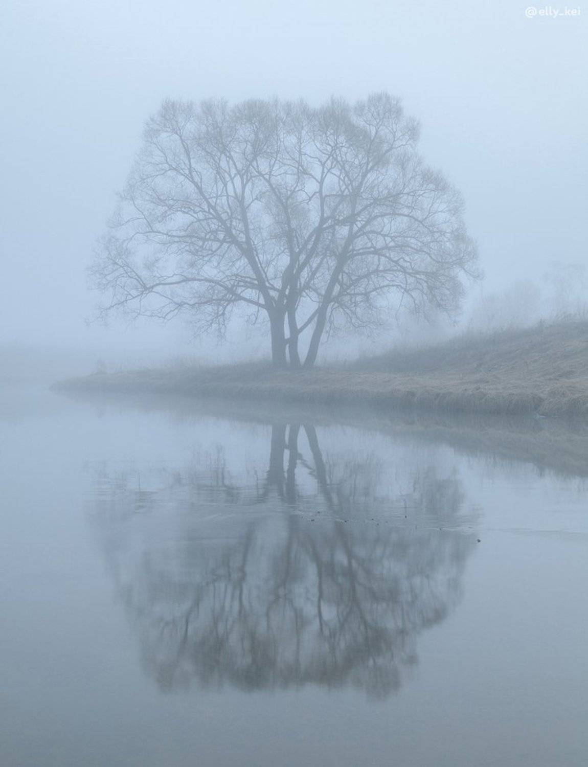 Истра, Элина Хван