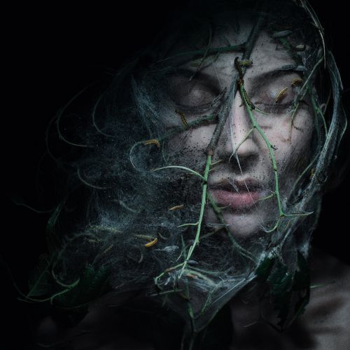 ꭑῑῄᵭ⁞ᵳיִἐꬹᵭ ﴾﴾ ۣۣۣۣ۟۟۟۟۟۟۟ ﴿ٕ﴿ٕ