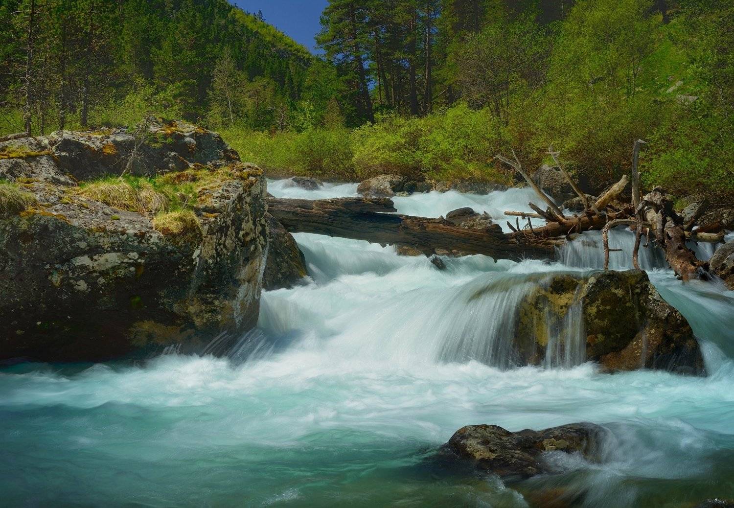 горы весна кавказ даут, Александр Жарников