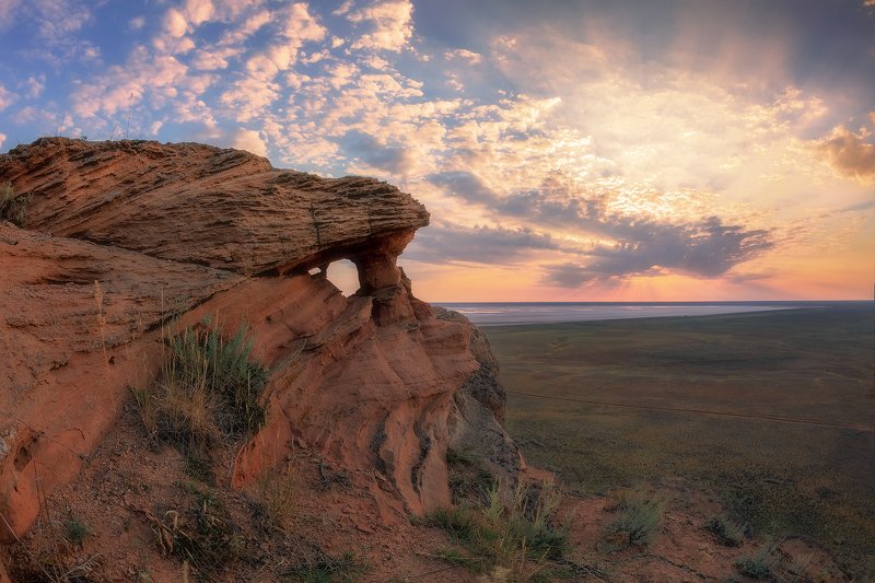 богдо Строгий взор фото превью