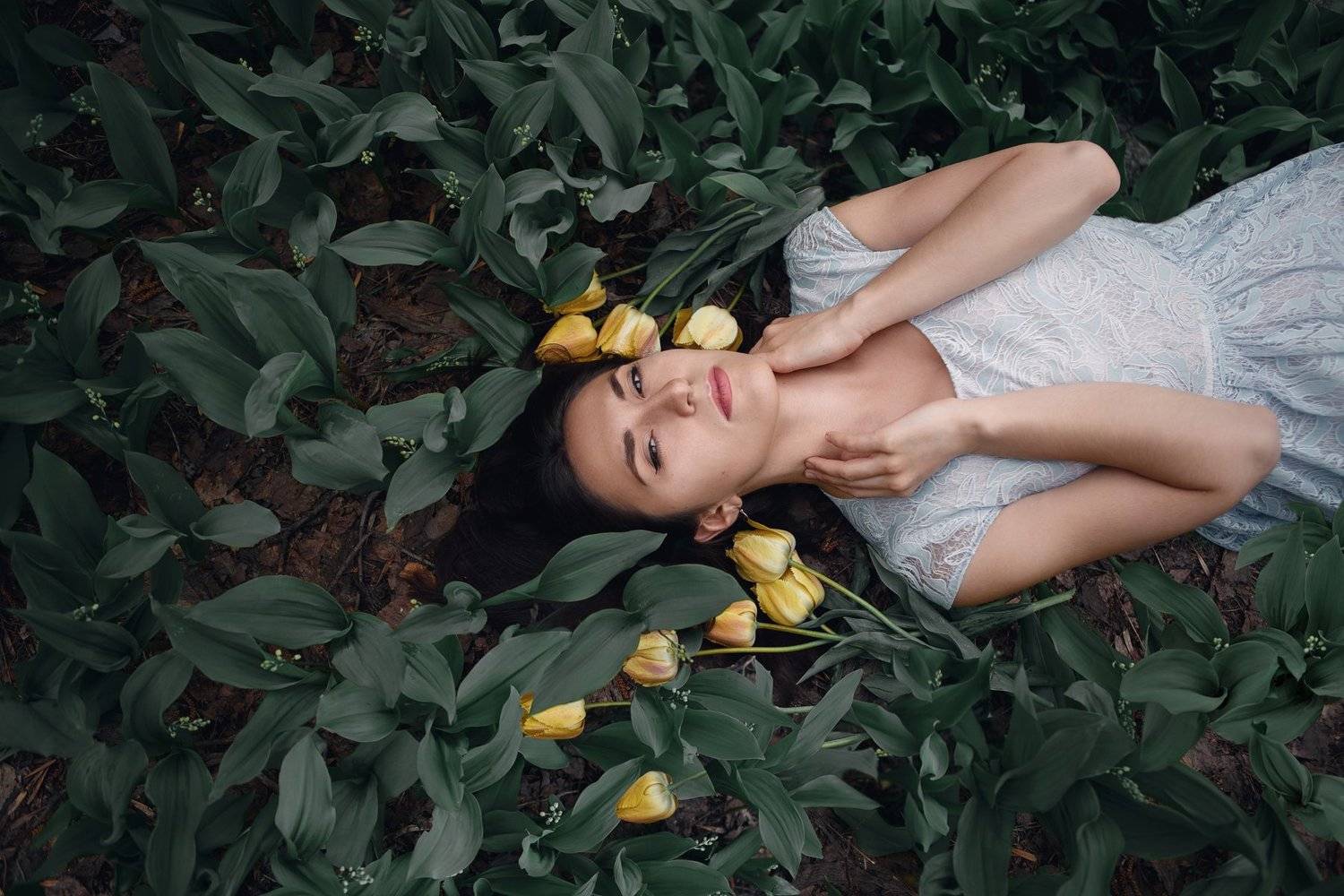 , Анна Северина