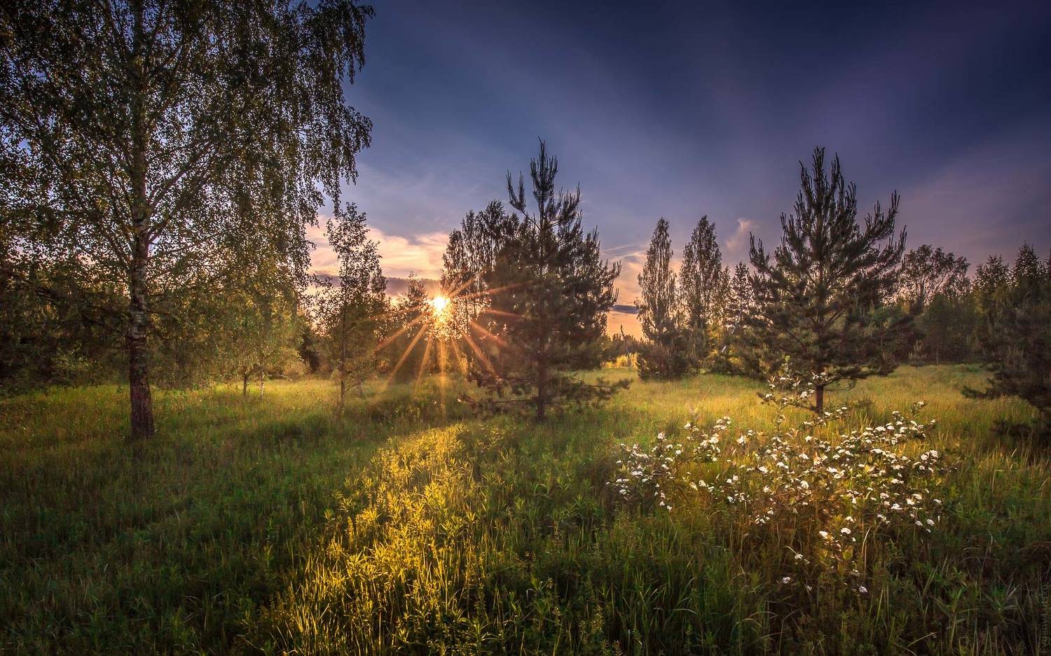 , Евгений Луцко