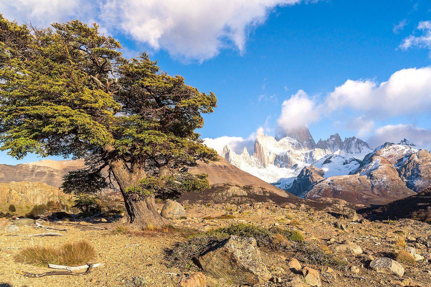 пейзаж, природа, Патагония, Аргентина, гора ,Фицрой, Лариса Николаевна Дука