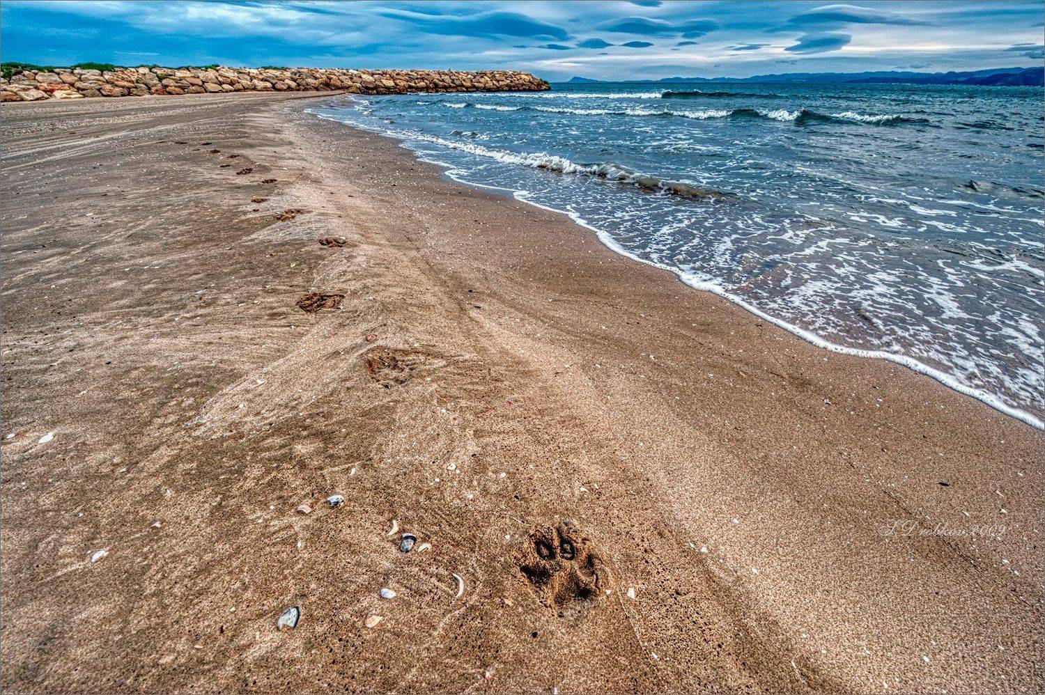 море, пейзаж, волны, вода, небо, облака, пляж, Sergey Drobkov
