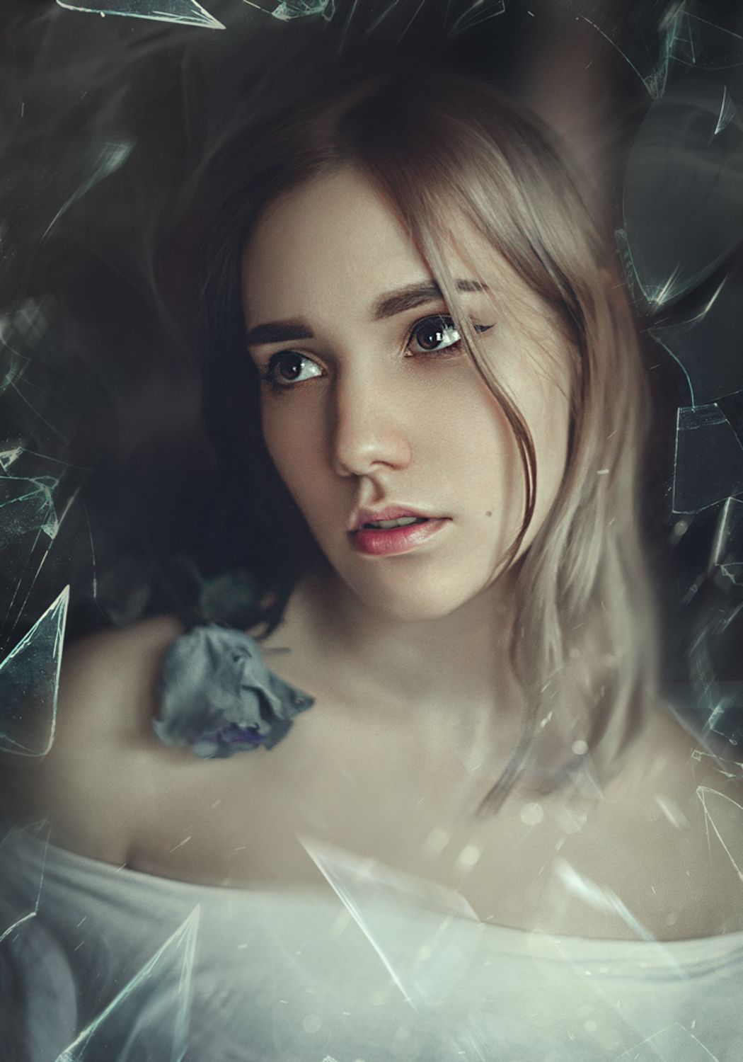 украина, коростышев, портрет, взгляд, девушка, роза, плечи, образ, осколки, стекло, фотограф, чорный,, Александр Чорный