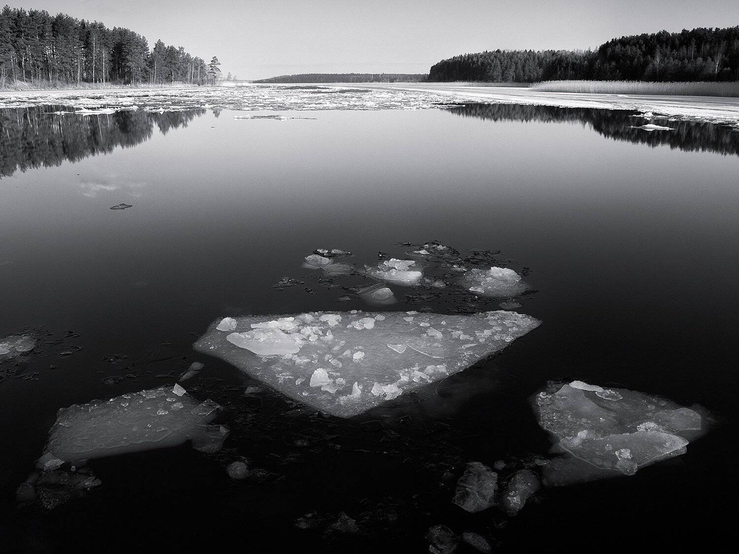 , Федотов Антон