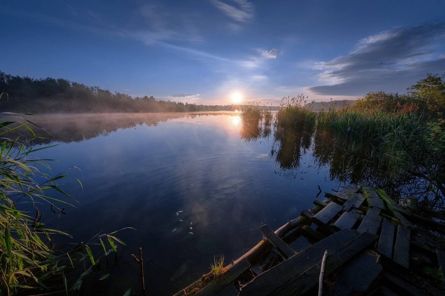 шатура, лес, утро, рассвет, свет, деревья, трава, озеро, туман, дымка, пейзаж, Андрей Чиж