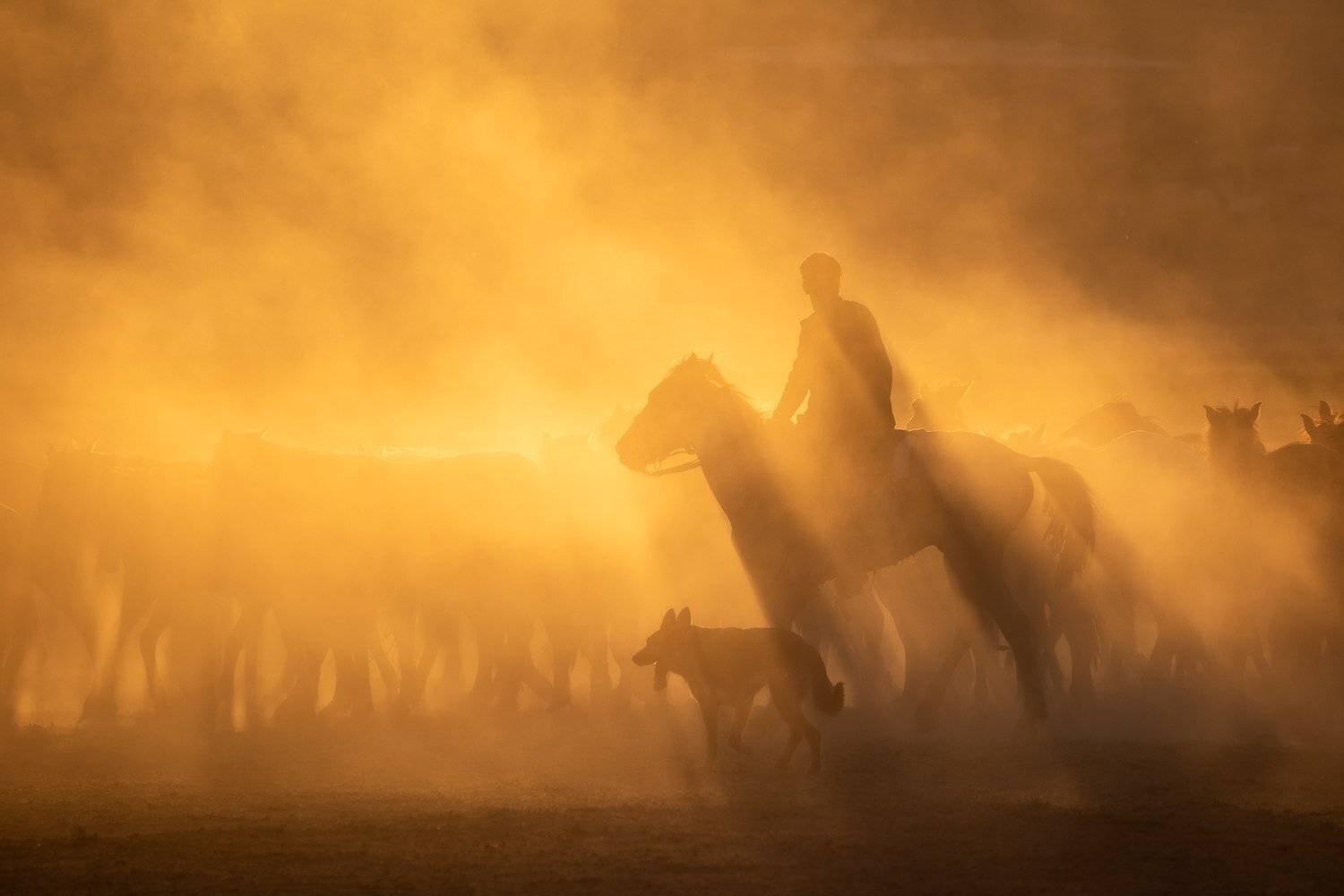 , Pawel Uchorczak