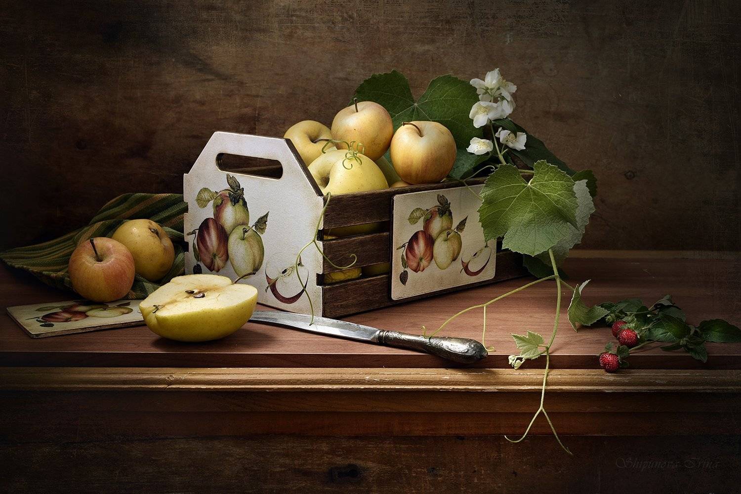 , Шипунова Ирина