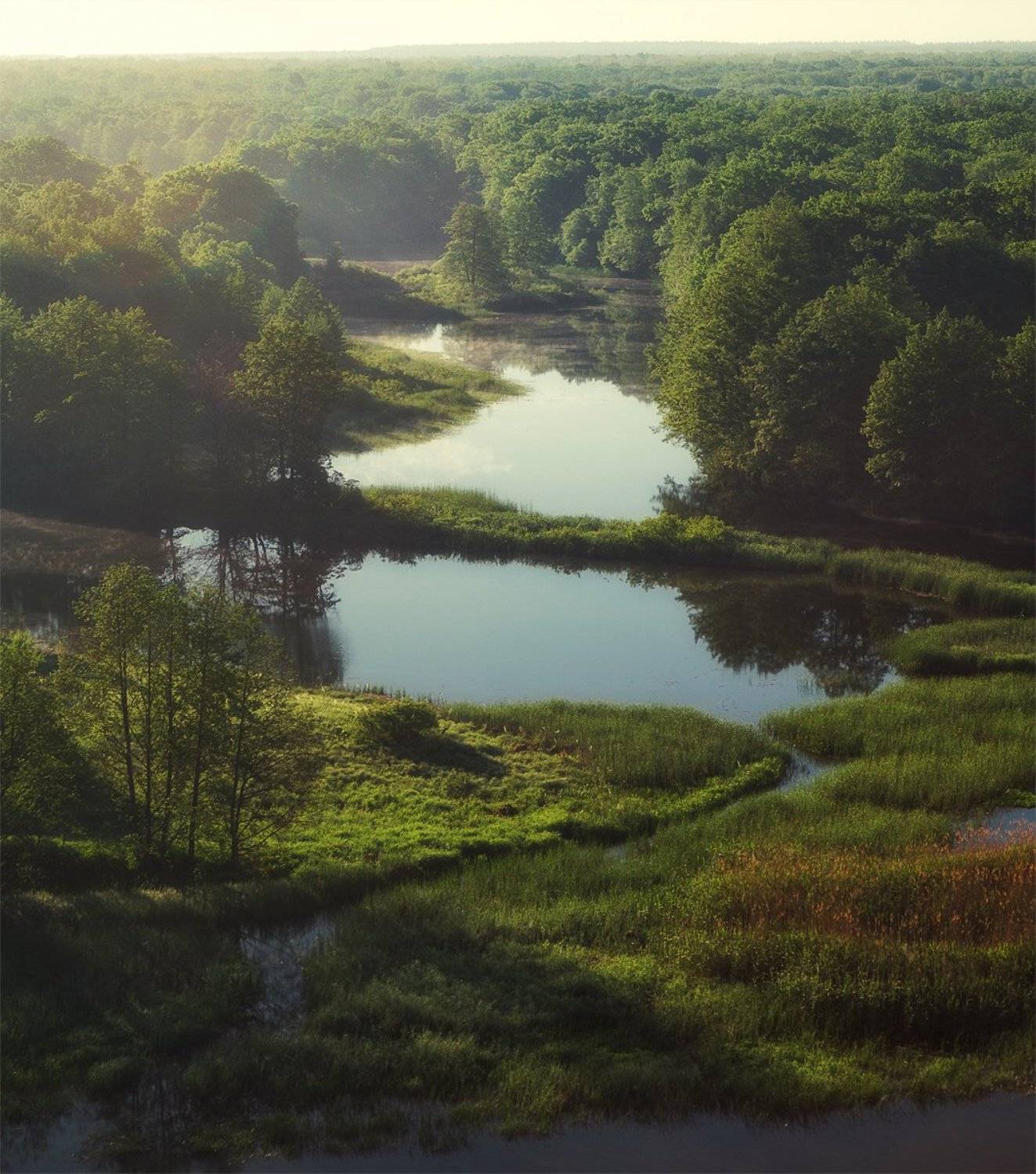 , Тимур Подколзин