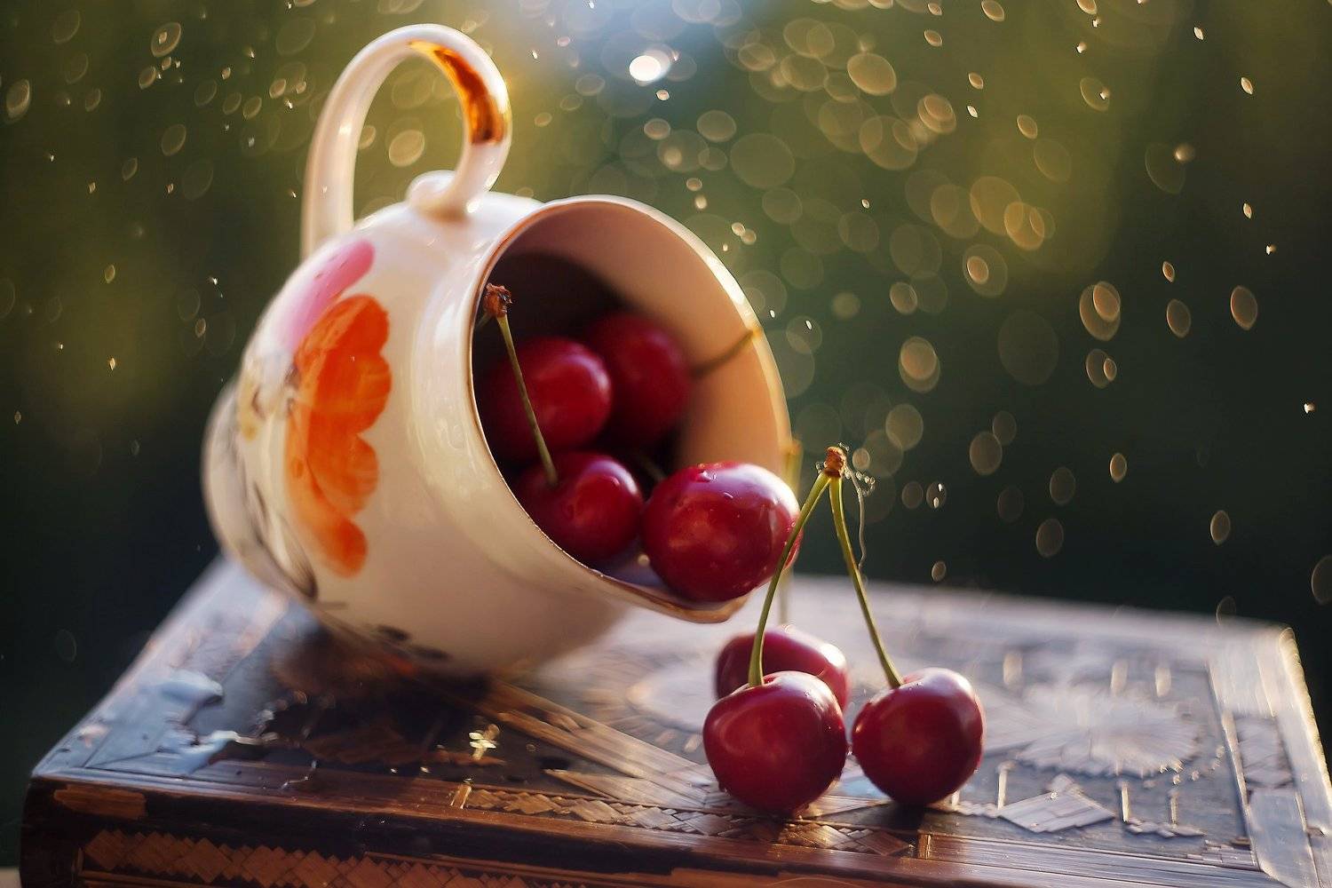 macro bokeh , Анастасия Колесникова