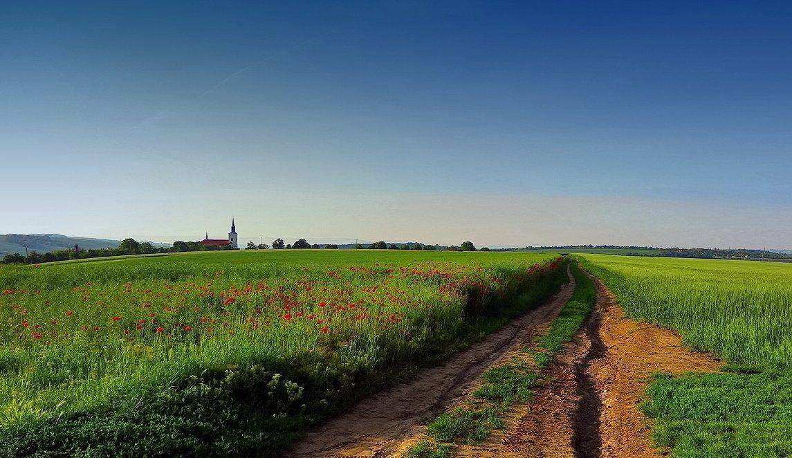 moravia, Franti&scaron;ek Uhler