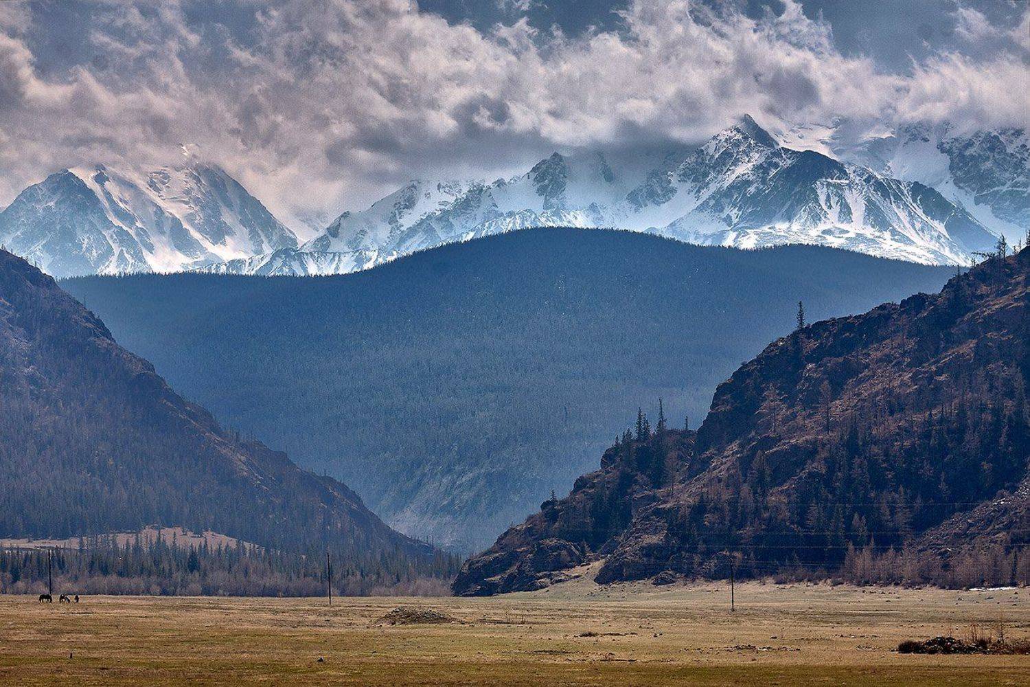 алтай, ледник актру, актру, алтайский край, долина, весна,осень, лиственницы, ледник,ледники, Качурин Алексей