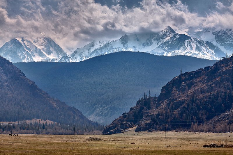 алтай, ледник актру, актру, алтайский край, долина, весна,осень, лиственницы, ледник,ледники Алтай,как есть... фото превью